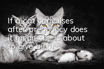 If a cat convulses after pregnancy, does it mean she is about to give birth?