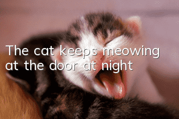 The cat keeps meowing at the door at night