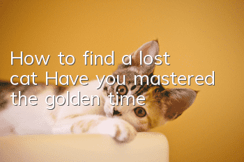 How to find a lost cat? Have you mastered the golden time?