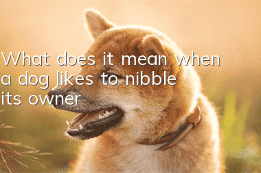 What does it mean when a dog likes to nibble its owner?