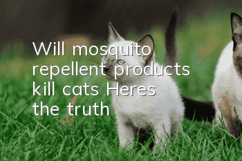 Will mosquito repellent products kill cats? Here’s the truth~