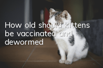 How old should kittens be vaccinated and dewormed?