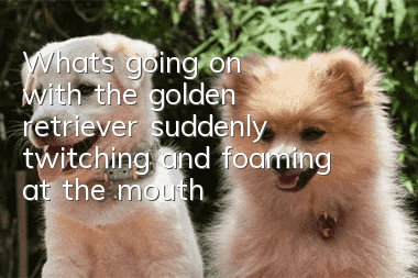 What's going on with the golden retriever suddenly twitching and foaming at the mouth?