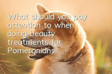 What should you pay attention to when doing beauty treatments for Pomeranians?