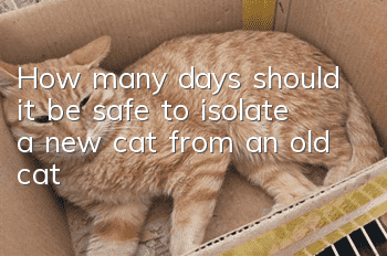 How many days should it be safe to isolate a new cat from an old cat?