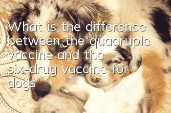 What is the difference between the quadruple vaccine and the six-drug vaccine for dogs?