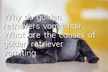 Why do golden retrievers vomit hair? What are the causes of golden retriever vomiting?