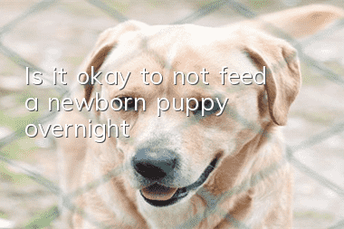 Is it okay to not feed a newborn puppy overnight?