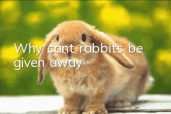 Why can’t rabbits be given away?