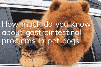 How much do you know about gastrointestinal problems in pet dogs?