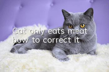 Cat only eats meat, how to correct it