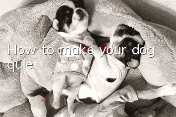 How to make your dog quiet