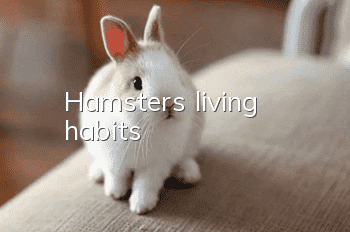 Hamster's living habits