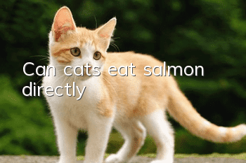 Can cats eat salmon directly?