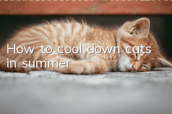 How to cool down cats in summer