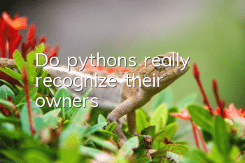 Do pythons really recognize their owners?