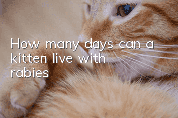 How many days can a kitten live with rabies?