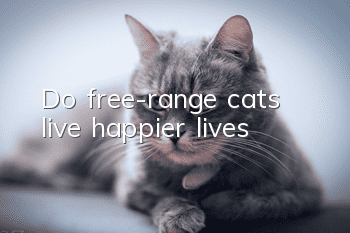 Do free-range cats live happier lives?