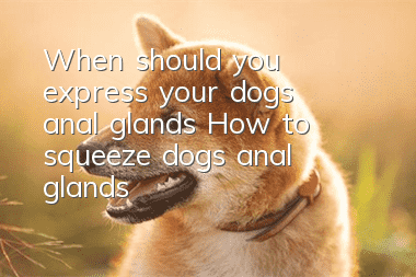 When should you express your dog’s anal glands? How to squeeze dog’s anal glands