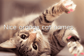 Nice orange cat names