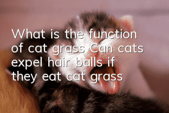 What is the function of cat grass? Can cats expel hair balls if they eat cat grass?