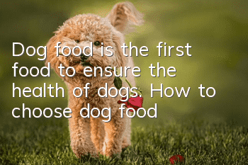 Dog food is the first food to ensure the health of dogs. How to choose dog food?