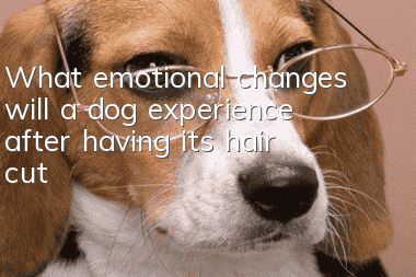 What emotional changes will a dog experience after having its hair cut?