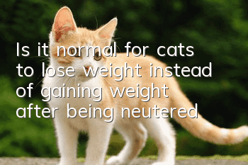 Is it normal for cats to lose weight instead of gaining weight after being neutered?