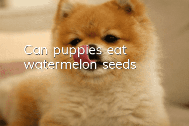 Can puppies eat watermelon seeds?