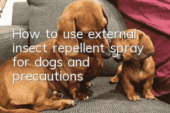 How to use external insect repellent spray for dogs and precautions