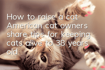 How to raise a cat? American cat owners share tips for keeping cats alive to 38 years old!