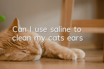 Can I use saline to clean my cat’s ears?