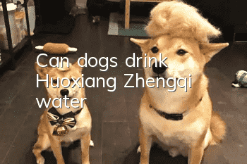 Can dogs drink Huoxiang Zhengqi water?