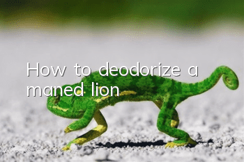 How to deodorize a maned lion