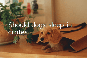 Should dogs sleep in crates?