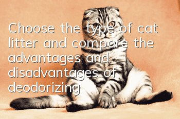 Choose the type of cat litter and compare the advantages and disadvantages of deodorizing