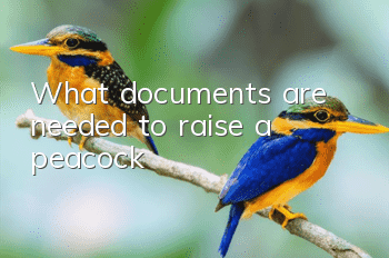 What documents are needed to raise a peacock?