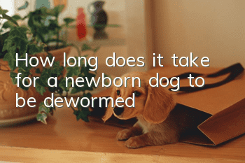 How long does it take for a newborn dog to be dewormed?