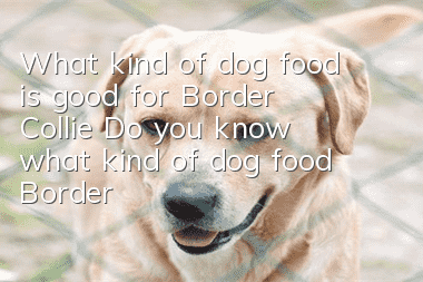 What kind of dog food is good for Border Collie? Do you know what kind of dog food Border Collie should eat?