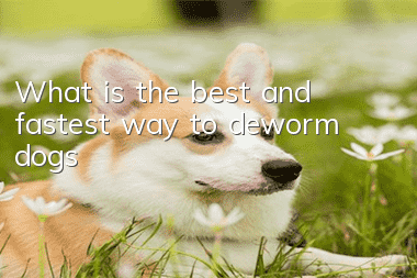 What is the best and fastest way to deworm dogs?