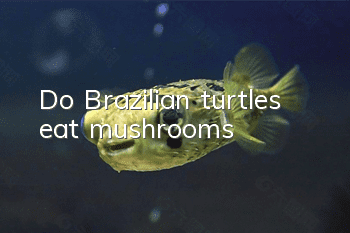 Do Brazilian turtles eat mushrooms?