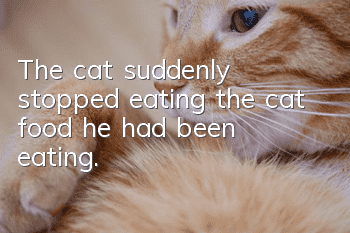 The cat suddenly stopped eating the cat food he had been eating.