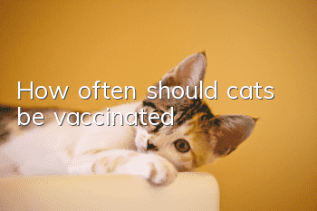 How often should cats be vaccinated?