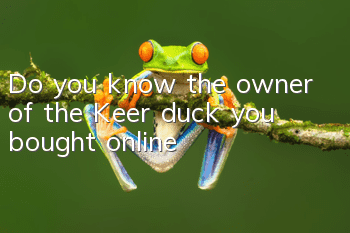 Do you know the owner of the Keer duck you bought online?