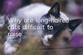 Why are long-haired cats difficult to raise?