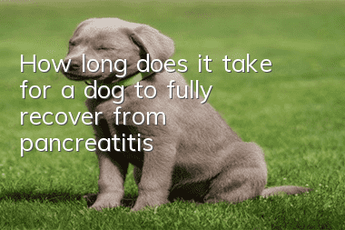 How long does it take for a dog to fully recover from pancreatitis?