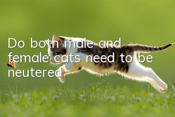 Do both male and female cats need to be neutered?