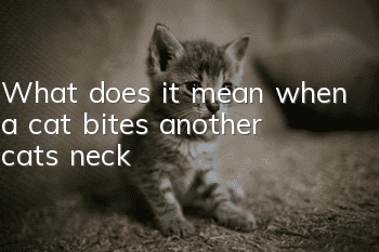 What does it mean when a cat bites another cat's neck?