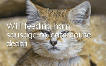 Will feeding ham sausage to cats cause death?