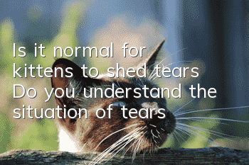 Is it normal for kittens to shed tears? Do you understand the situation of tears?